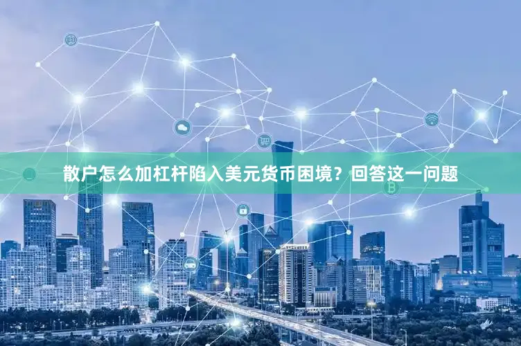 散户怎么加杠杆陷入美元货币困境？回答这一问题