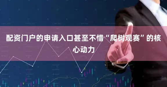 配资门户的申请入口甚至不惜“爬树观赛”的核心动力