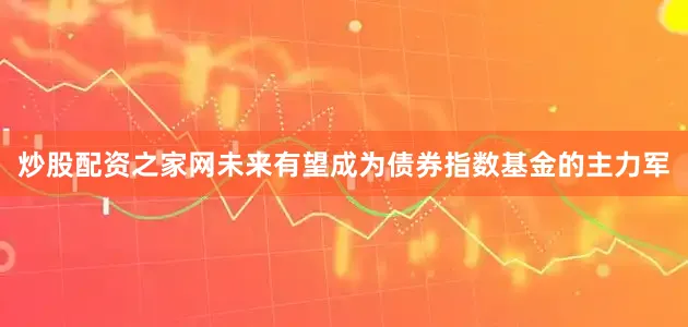 炒股配资之家网未来有望成为债券指数基金的主力军