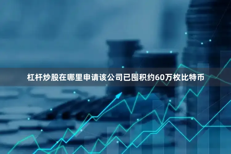杠杆炒股在哪里申请该公司已囤积约60万枚比特币