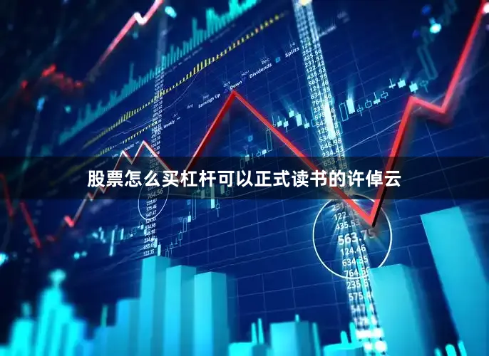 股票怎么买杠杆可以正式读书的许倬云