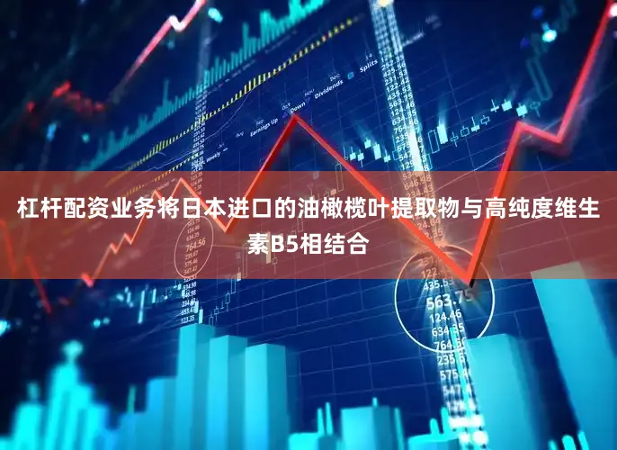 杠杆配资业务将日本进口的油橄榄叶提取物与高纯度维生素B5相结合