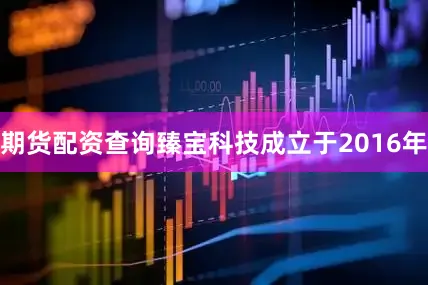 期货配资查询臻宝科技成立于2016年