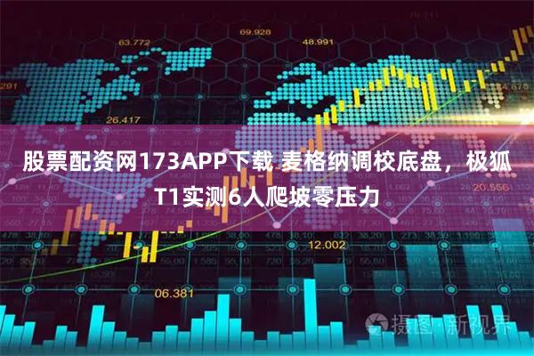 股票配资网173APP下载 麦格纳调校底盘，极狐T1实测6人爬坡零压力