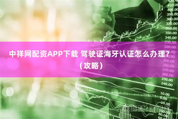 中祥网配资APP下载 驾驶证海牙认证怎么办理？（攻略）